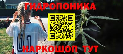 прущие крисы Обь