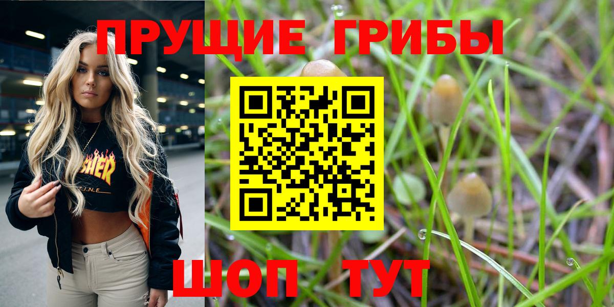 Псилоцибиновые грибы ЛСД Саянск